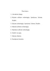 Kirpimas ir vizažas 2 puslapis