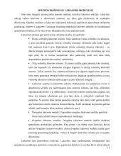 Knygų  viršelių apdailos įrangos ir procesų analizė 11 puslapis