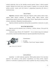 Knygų  viršelių apdailos įrangos ir procesų analizė 12 puslapis