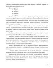 Knygų  viršelių apdailos įrangos ir procesų analizė 13 puslapis