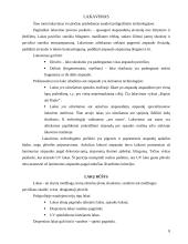 Knygų  viršelių apdailos įrangos ir procesų analizė 8 puslapis