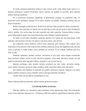 Krikštynų pobūvio organizavimas 12 puslapis