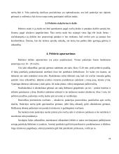 Krikštynų pobūvio organizavimas 13 puslapis