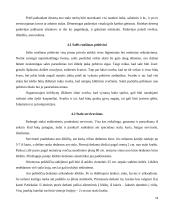 Krikštynų pobūvio organizavimas 14 puslapis