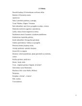 Krikštynų pobūvio organizavimas 8 puslapis