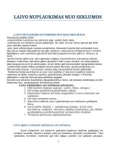 Laivo nuplaukimas-nutempimas nuo seklumos 2 puslapis