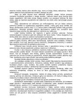 Laivo nuplaukimas-nutempimas nuo seklumos 3 puslapis