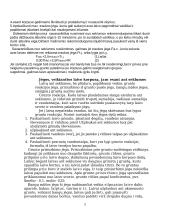 Laivo nuplaukimas-nutempimas nuo seklumos 5 puslapis