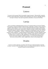 Lietuvos ir Latvijos palyginamoji charakteristika 12 puslapis