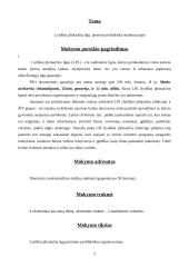 Lytiškai plintančių ligų pirminė profilaktika studentų tarpe 2 puslapis