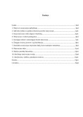 Motyvas ir motyvacija 2 puslapis