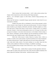 Motyvas ir motyvacija 3 puslapis