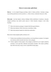 Motyvas ir motyvacija 4 puslapis