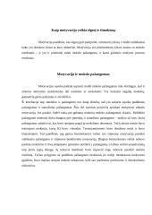 Motyvas ir motyvacija 6 puslapis