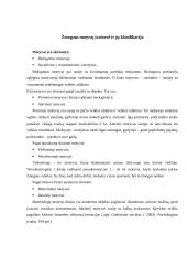 Motyvas ir motyvacija 8 puslapis