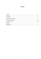 Lentelių sudarymas ir redagavimas 2 puslapis