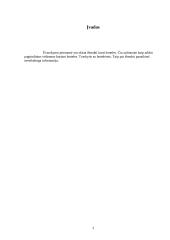 Lentelių sudarymas ir redagavimas 3 puslapis