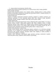 Lentelių sudarymas ir redagavimas 6 puslapis