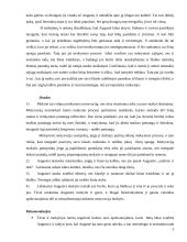 Nesugebėjimo arba nenorėjimo mokytis priežasčių tyrimas ir konkrečių rekomendacijų suformulavimas 5 puslapis
