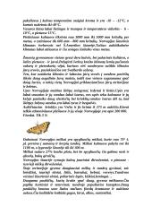 Norvegija ir Norvegijos charakteristika 2 puslapis