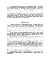 Paauglystės raida 4 puslapis