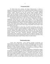 Paauglystės raida 5 puslapis