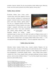 Padėkos diena 3 puslapis