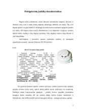 Pastato ir automatinės gaisrinės signalizacijos įdiegimas 5 puslapis