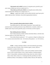 Pienas ir pieno prekės 16 puslapis
