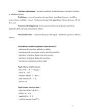 Pienas ir pieno prekės 20 puslapis