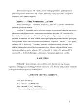 Pienas ir pieno prekės 8 puslapis