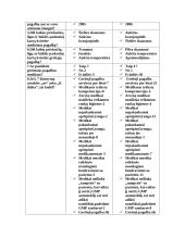 Greitosios Medicinos Pagalbos darbuotojų pareigos 13 puslapis