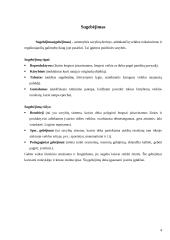 Pradinuko gebėjimai 4 puslapis