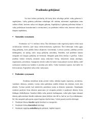 Pradinuko gebėjimai 5 puslapis