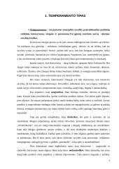 Savianalizės pavyzdys 3 puslapis