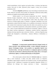 Savianalizės pavyzdys 4 puslapis