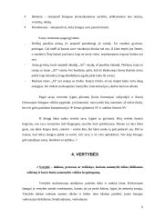 Savianalizės pavyzdys 6 puslapis