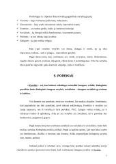 Savianalizės pavyzdys 7 puslapis