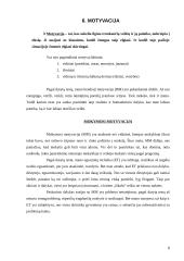 Savianalizės pavyzdys 8 puslapis