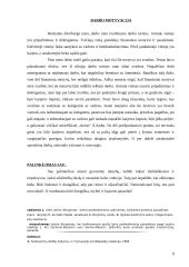 Savianalizės pavyzdys 9 puslapis