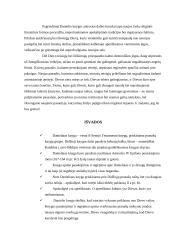 Senojo Testamento Danieliaus knyga 10 puslapis
