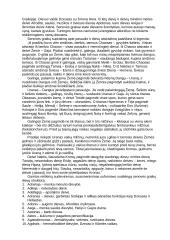 Senovės Graikijos pasaulis 2 puslapis