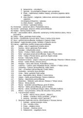 Senovės Graikijos pasaulis 5 puslapis