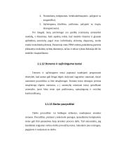 Socialinė psichologija ir verslo etika 13 puslapis