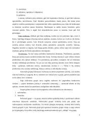 Tarpasmeniniai santykiai ir bendravimas darbe 8 puslapis