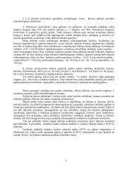 Traškučių lazdelių gamyba 3 puslapis