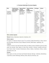 Turizmas Vokietijoje 3 puslapis