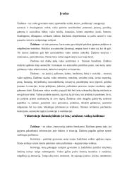 Viduriniojo ikimokyklinio (4-5 metų) amžiaus vaikų žaidimai 2 puslapis