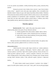 Viduriniojo ikimokyklinio (4-5 metų) amžiaus vaikų žaidimai 3 puslapis