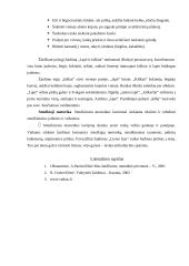 Viduriniojo ikimokyklinio (4-5 metų) amžiaus vaikų žaidimai 5 puslapis